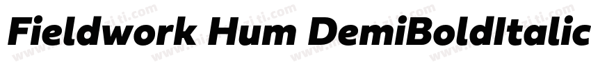 Fieldwork Hum DemiBoldItalic字体转换